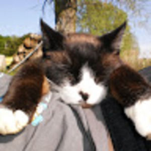 Meet your Posher, Ml